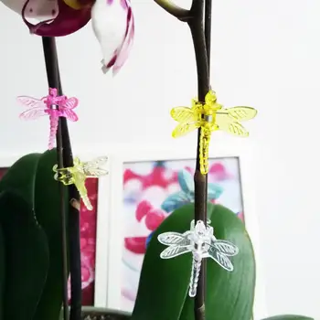 30PCS Orhideja Posnetke Plastični Vrtna Rastlina Dragonfly Metulj Objemke za Podporo Cvet vinske Trte Dekoracijo Okrasnih Posnetke Mešani